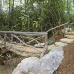 Exterior landscaping, The Settings of Black Mountain