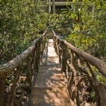 Black Mountain Craftsman outdoor bridge