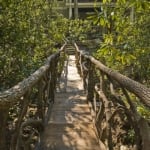 Black Mountain Craftsman outdoor bridge