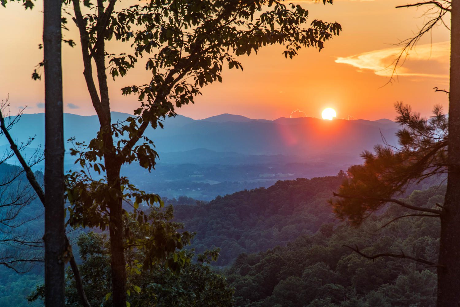 Organic Mountain Modern Asheville