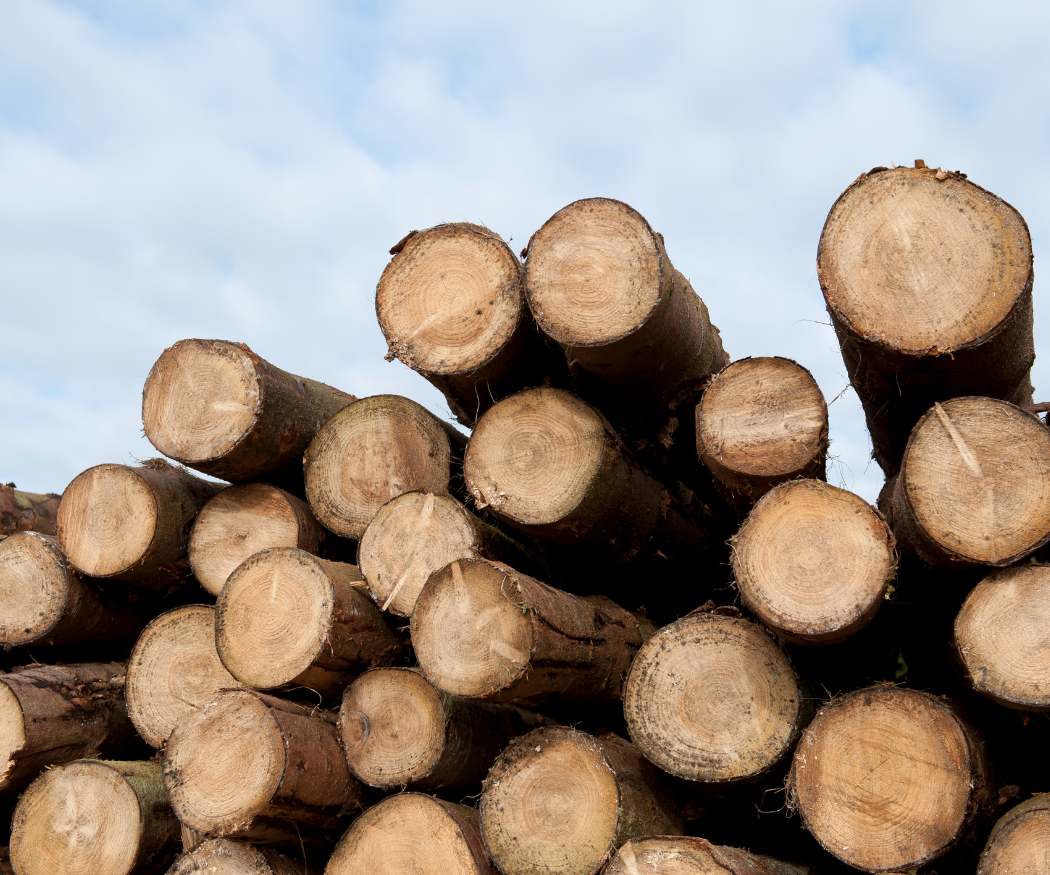 lumber-pricing