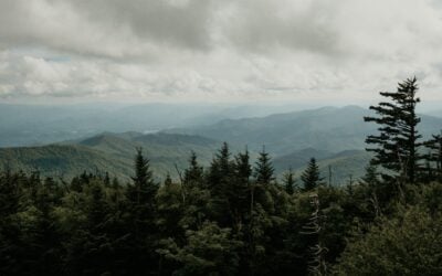 Building Better Homes in Tennessee